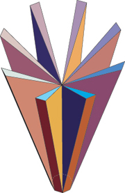 One vertex of negative curvature.